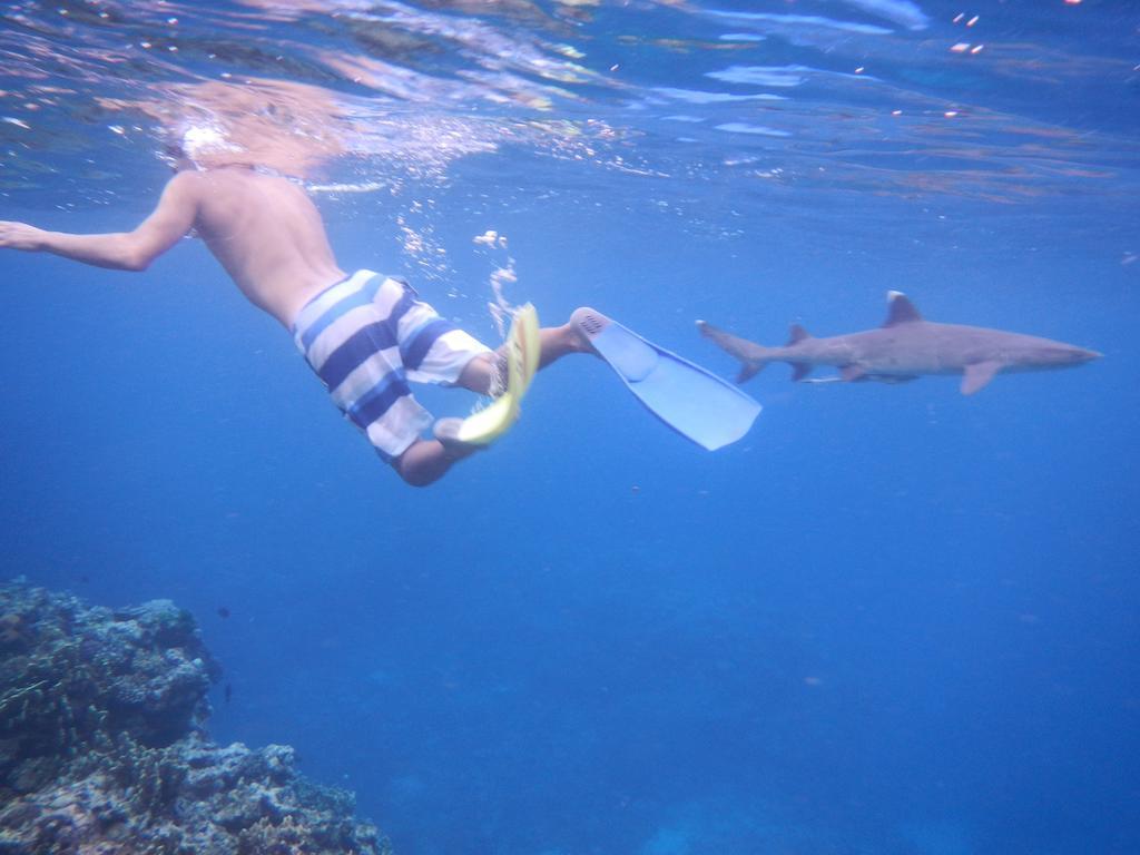 Naqalia Lodge Wayasewa Island Eksteriør bilde