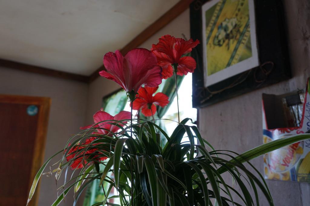 Naqalia Lodge Wayasewa Island Eksteriør bilde